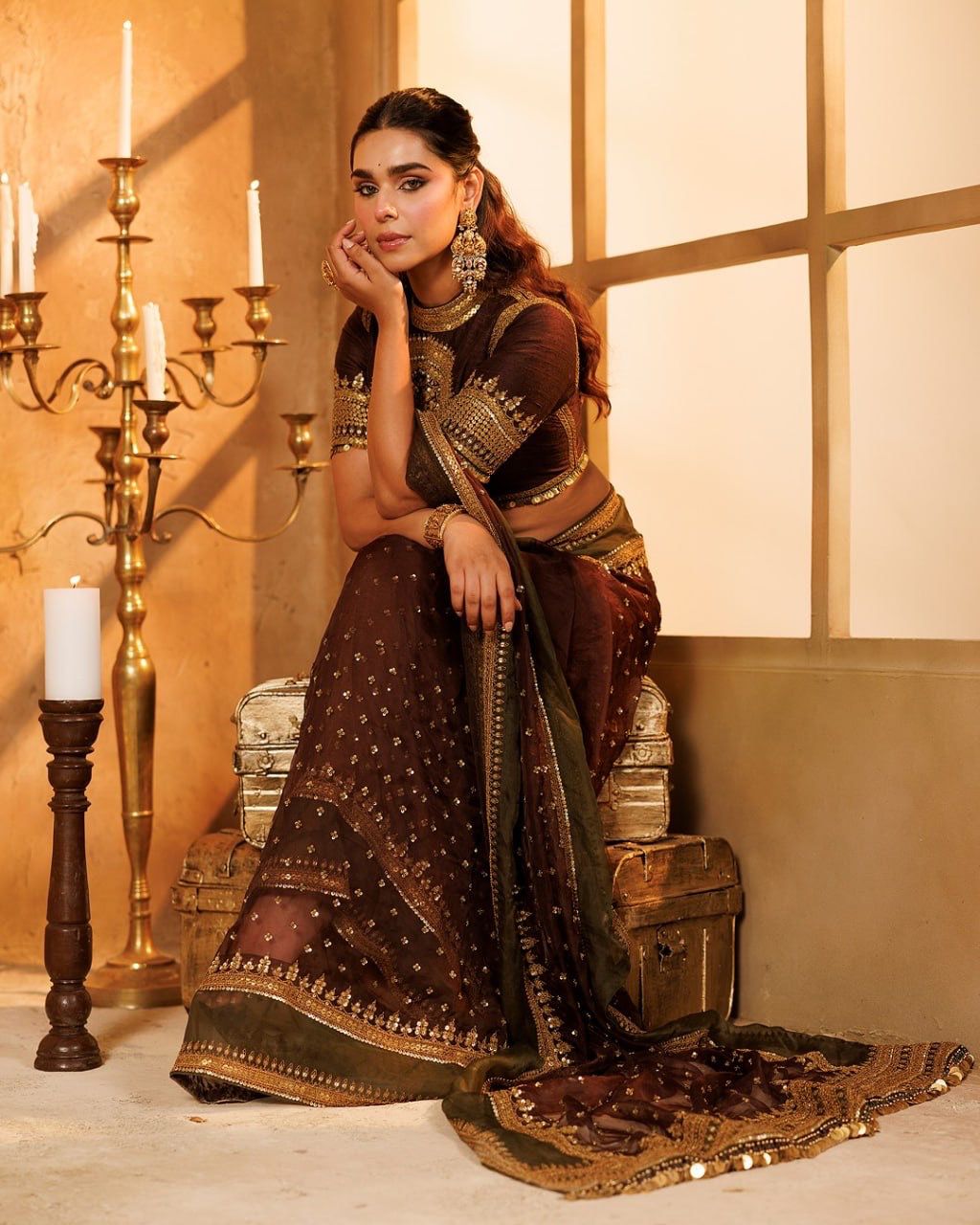 Celebrity Inspired Chocolate Brown Sequins Saree with Designer Blouse | Luxury Party Wear Saree for Women